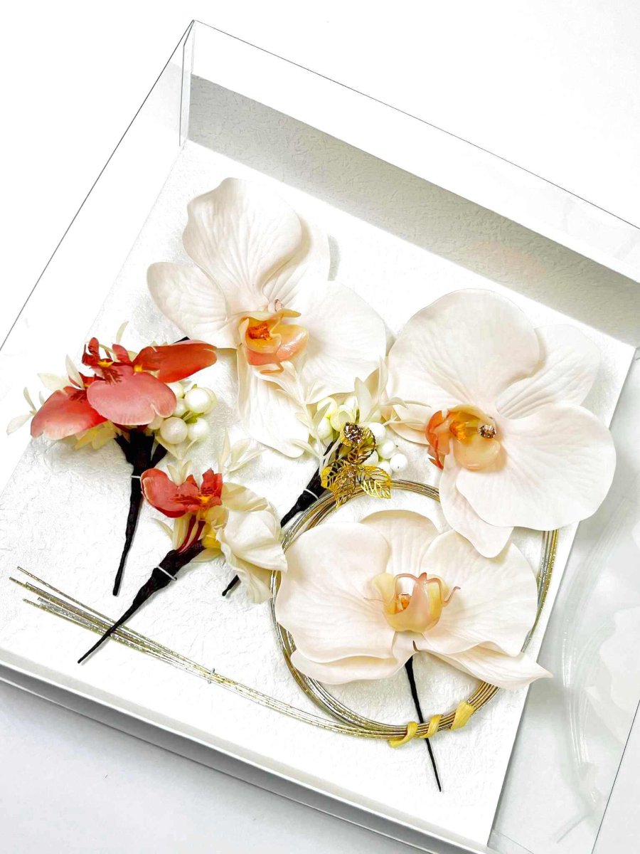 画像4: 4-1【胡蝶蘭】薄ピンク (4)