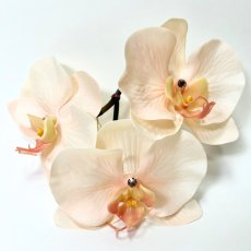 画像3: 16-1【胡蝶蘭】薄ピンク×メタルフラワー (3)