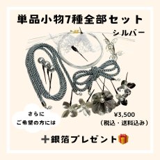 画像1: 22-2【単品小物7種全部セット】シルバー (1)