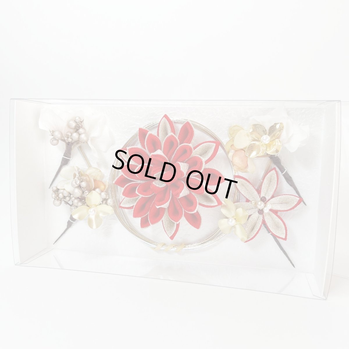 画像9: 24-1【ビッグダリア】赤 (9)