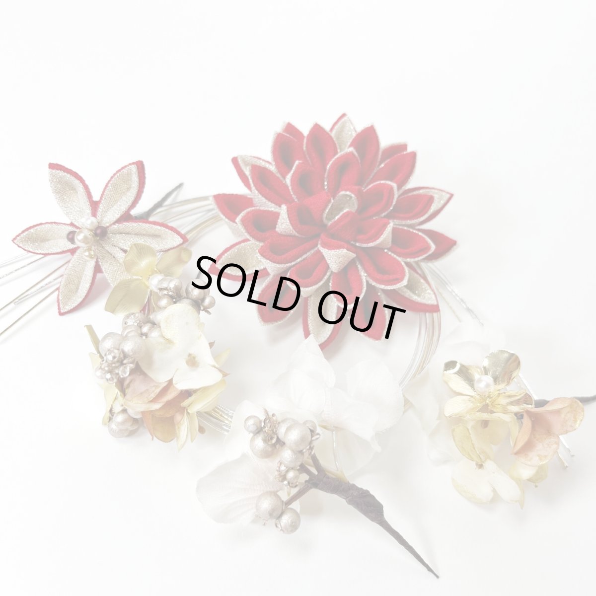 画像7: 24-1【ビッグダリア】赤 (7)