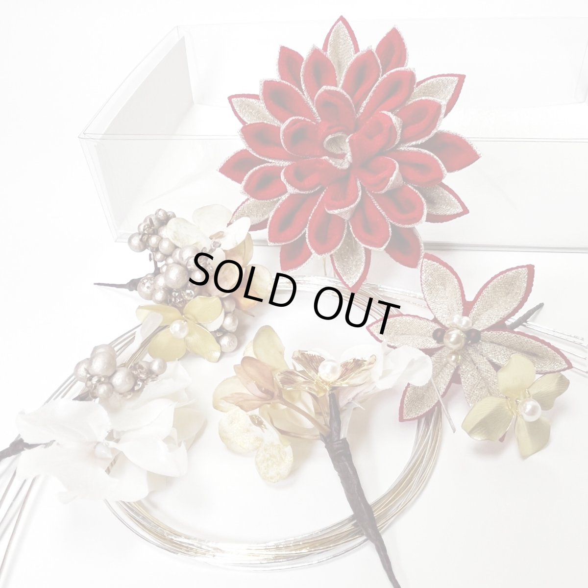 画像1: 24-1【ビッグダリア】赤 (1)