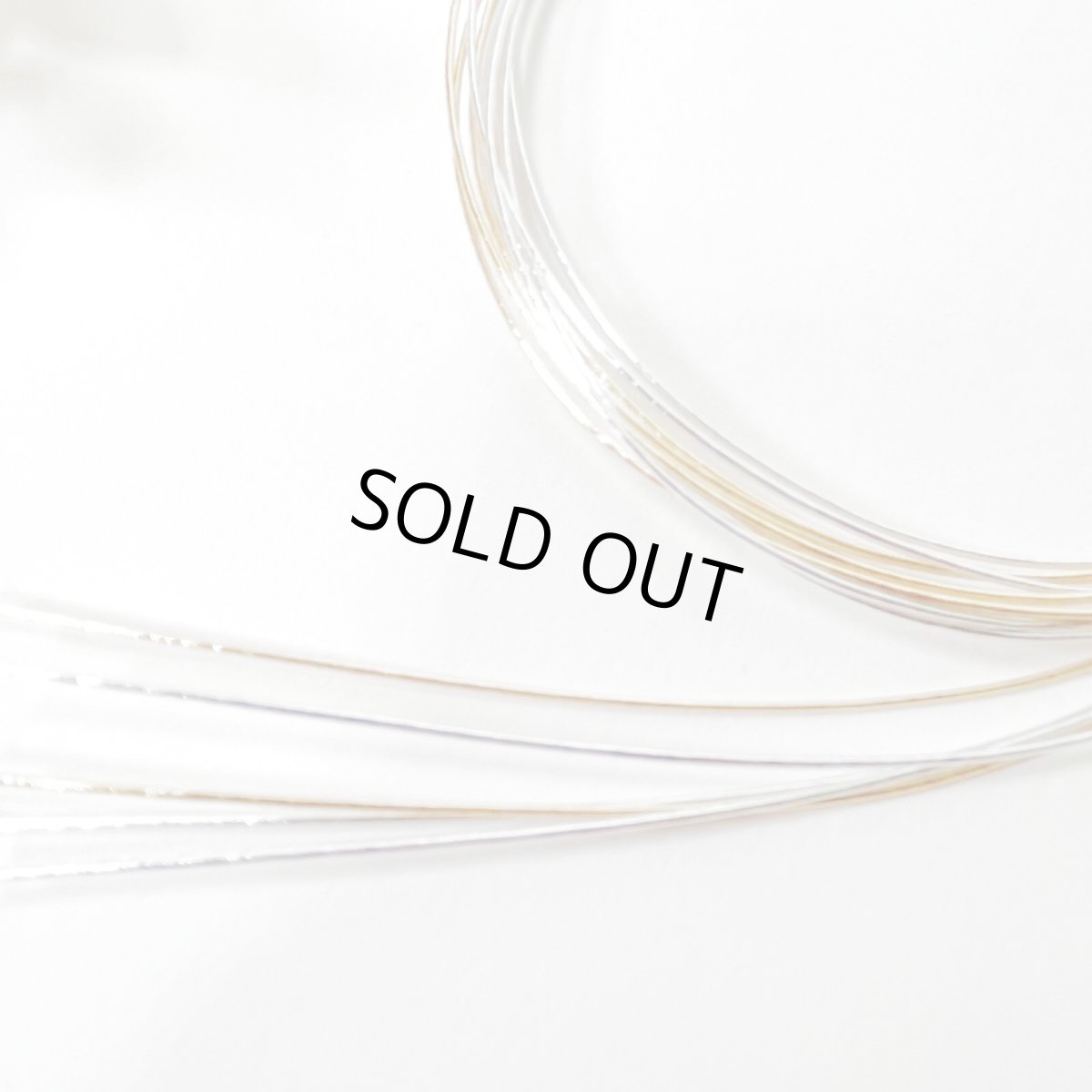 画像5: 24-1【ビッグダリア】赤 (5)