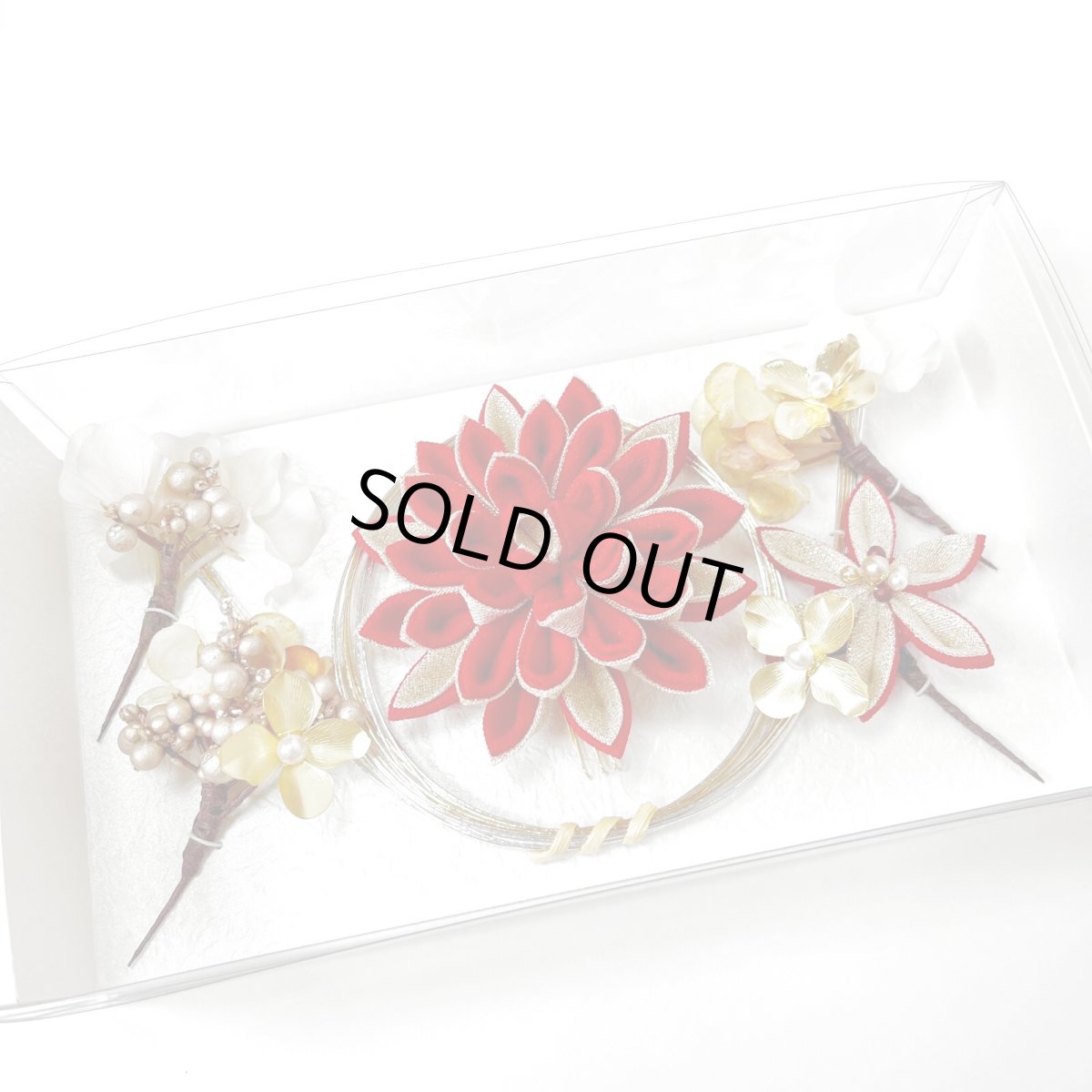 画像8: 24-1【ビッグダリア】赤 (8)