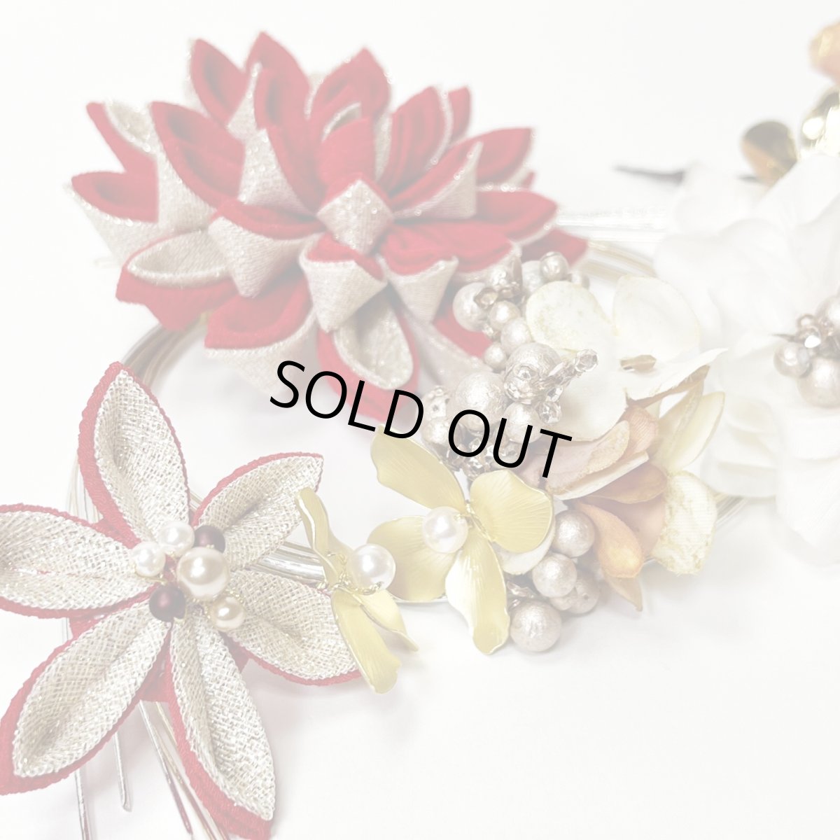 画像3: 24-1【ビッグダリア】赤 (3)