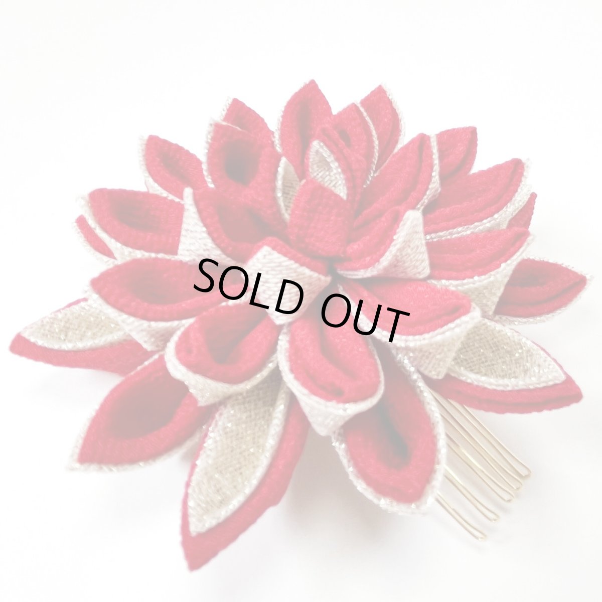 画像6: 24-1【ビッグダリア】赤 (6)