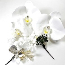 画像6: 61-2【胡蝶蘭】白×黄 (6)