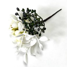 画像2: 61-2【胡蝶蘭】白×黄 (2)