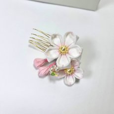 画像5: 1-4【桜】白（正絹ちりめん） (5)