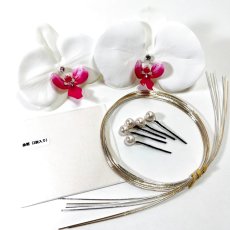 画像1: 19-1【胡蝶蘭】＋小物３種 (1)