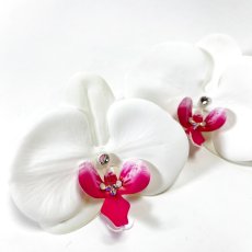 画像2: 19-1【胡蝶蘭】＋小物３種 (2)