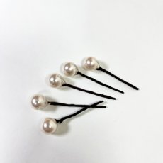 画像6: 19-2【胡蝶蘭】＋小物５種 (6)