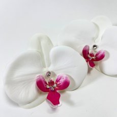 画像2: 19-2【胡蝶蘭】＋小物５種 (2)