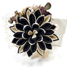 画像5: 24-22【ミディアムダリア】黒 (5)