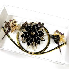 画像9: 24-22【ミディアムダリア】黒 (9)