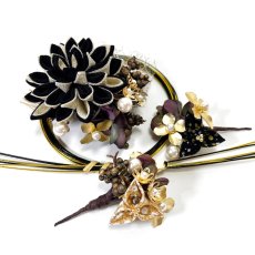 画像1: 24-22【ミディアムダリア】黒 (1)