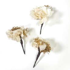画像8: 3-10【ダリア&ドライフラワー】白×ゴールド (8)