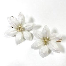 画像2: 6-7【白百合】プリザーブドフラワー (2)