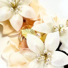 画像1: 6-8【白百合】白×クリーム (1)