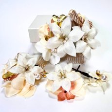 画像3: 6-8【白百合】白×クリーム (3)