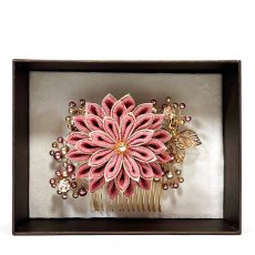 画像4: 5-5【ダリア】まそお (4)