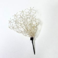 画像5: 20-1【水引の花】ダリア(黒) (5)