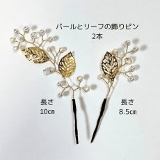 画像4: 20-2【水引の花】剣先ダリア(白) (4)