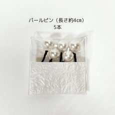 画像6: 20-2【水引の花】剣先ダリア(白) (6)