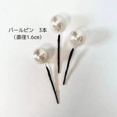 画像6: 8-3【ミディアムダリア】白×赤 (6)