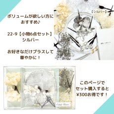 画像6: 5-6【梅】ターコイズブルー (6)